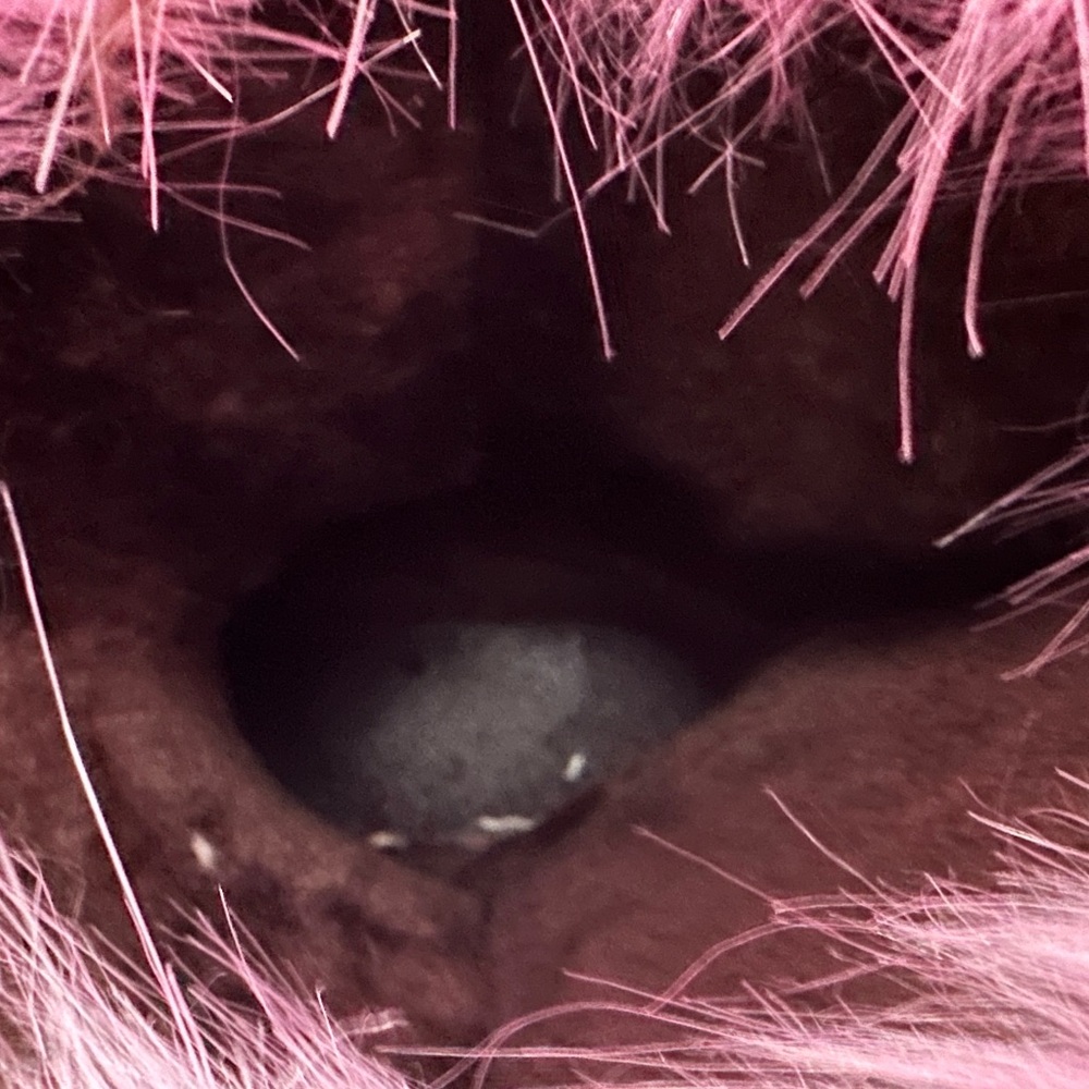 Pink Furry Boots - Picture 9 of 9
